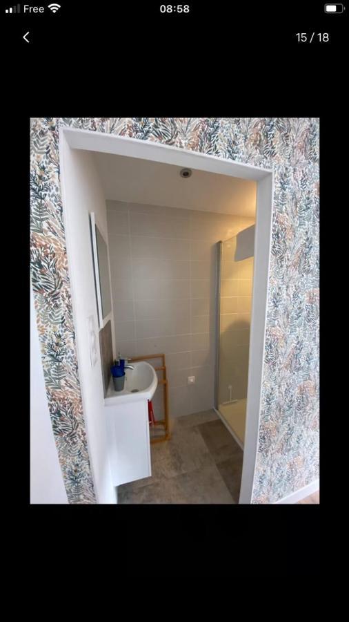 Périgueux Charmante Maison De Ville מראה חיצוני תמונה